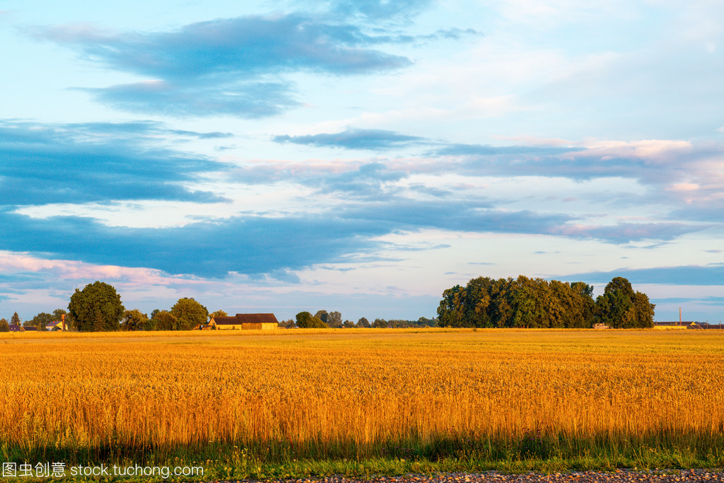 宁安市坚持“五位一体”强力推进农业生产高质量发展