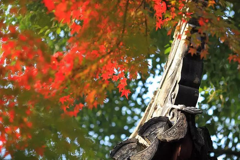 上海厉害了,厉害了上海