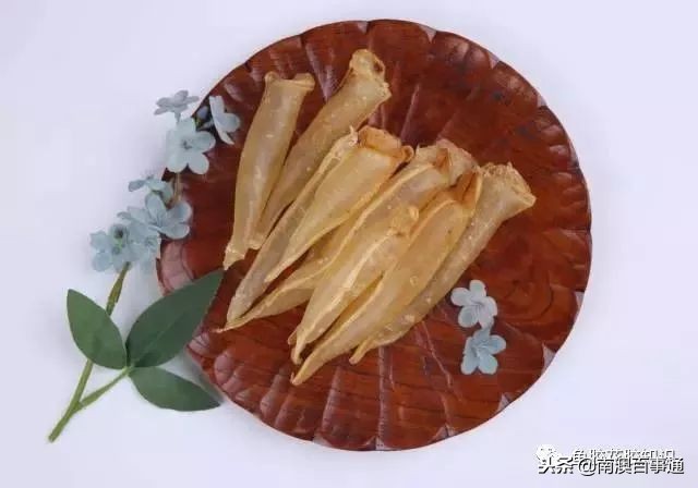 涨知识！鱼胶种类大全，不看亏大了！