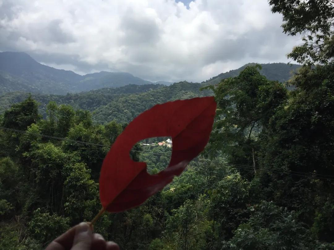 泰国清迈游玩攻略视频,泰国清迈四日旅游攻略