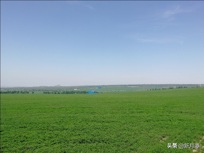 07年股市大跌,股市大跌后第二天行情