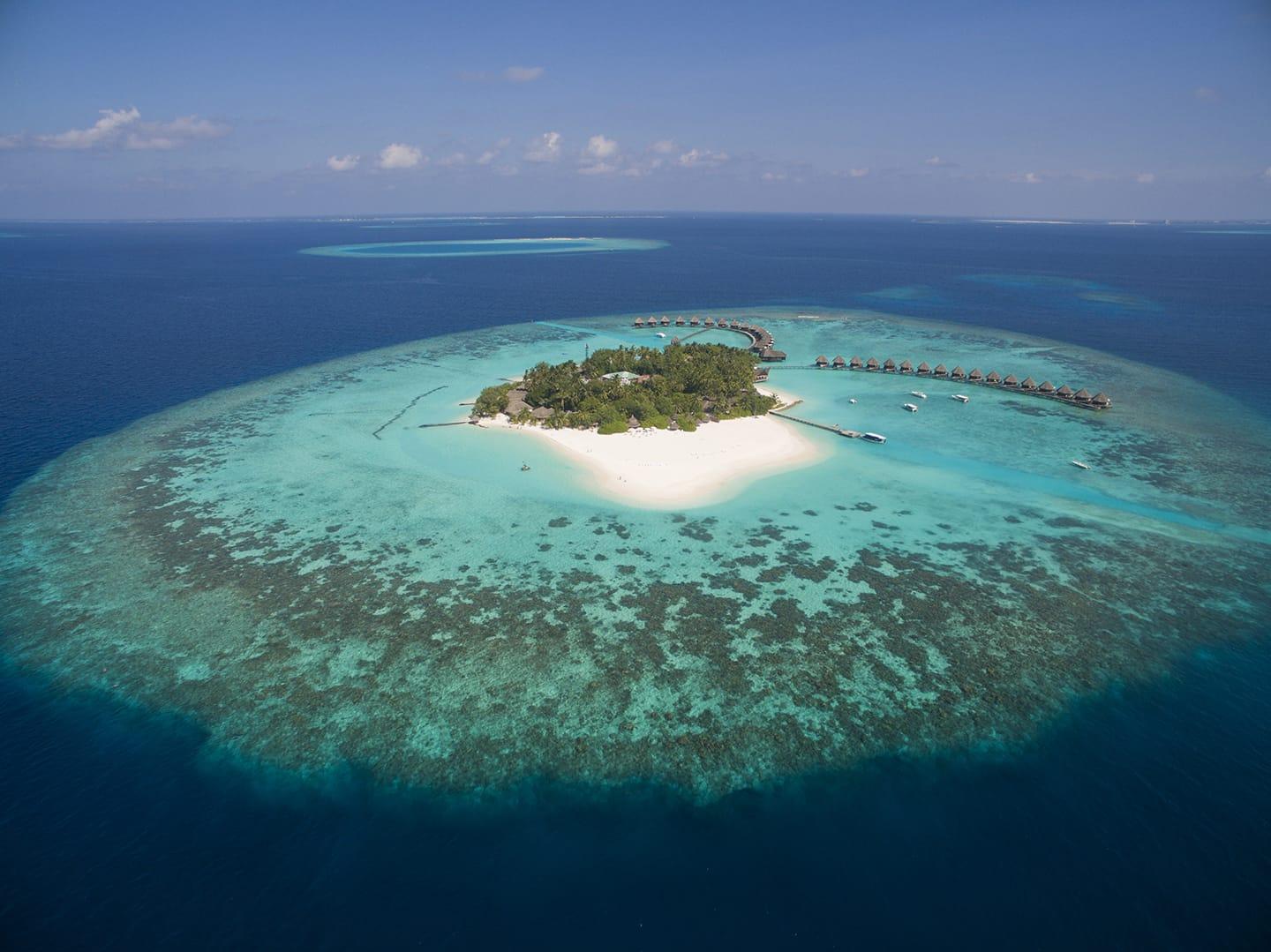 马尔代夫美人蕉岛旅游,马尔代夫蓝色美人蕉