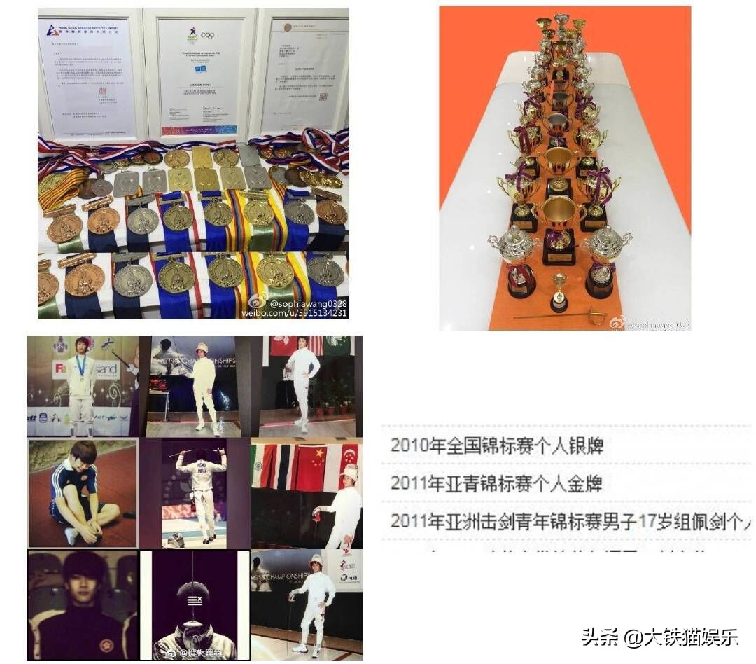 娱乐圈里的隐藏运动员,娱乐圈的全部运动员