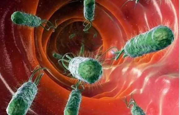 胃黏膜有炎症的表现,胃黏膜炎症的症状是什么引起的