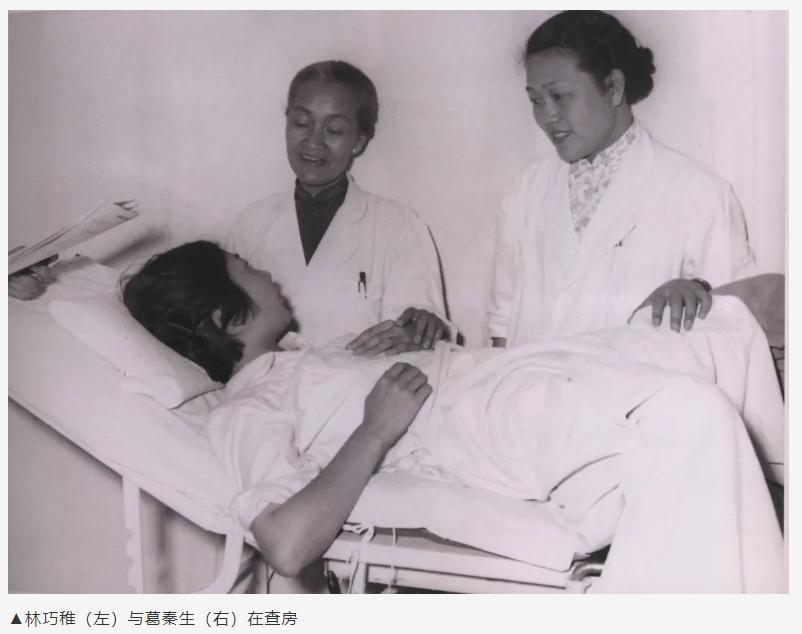 巨星陨落武汉大学教授,巨星陨落的大师