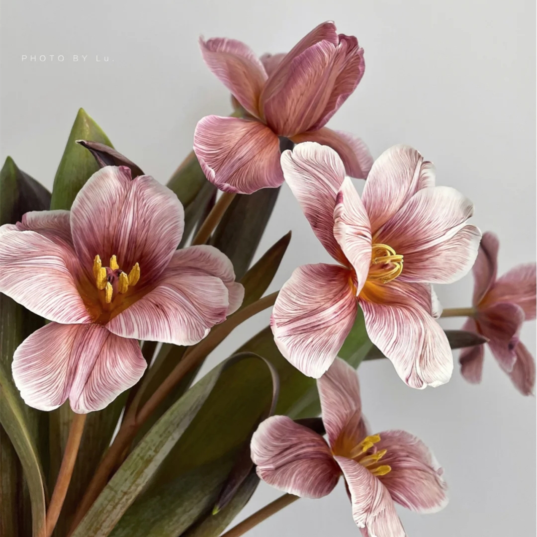 野冬青花材,畅销花卉绿植排行榜前十名