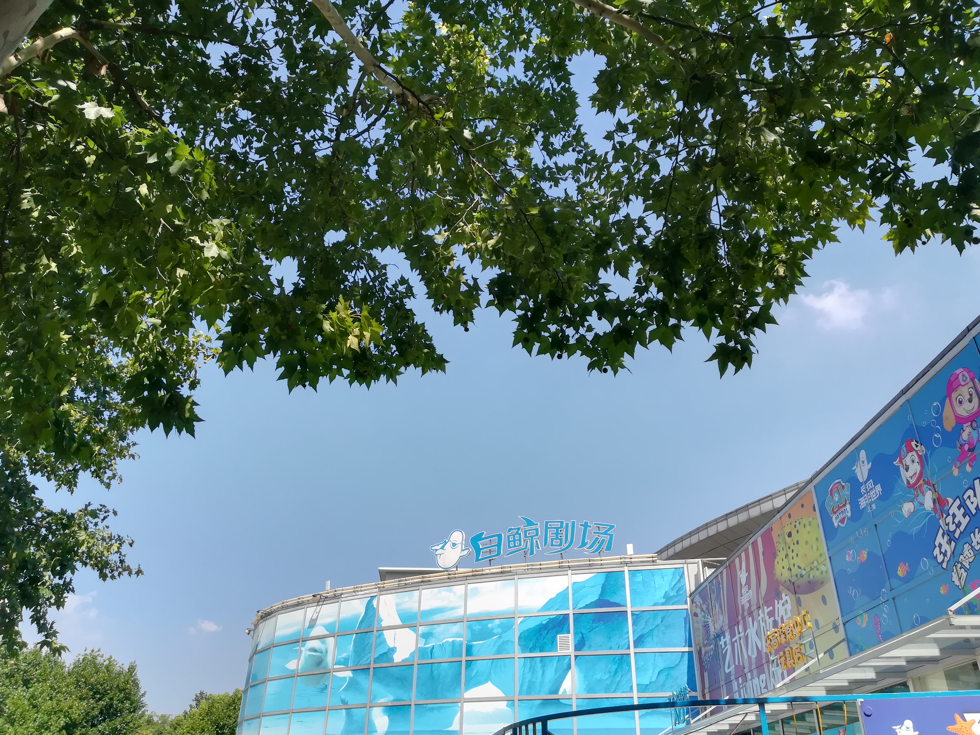 上海长风公园钓鱼,上海长风公园改造计划