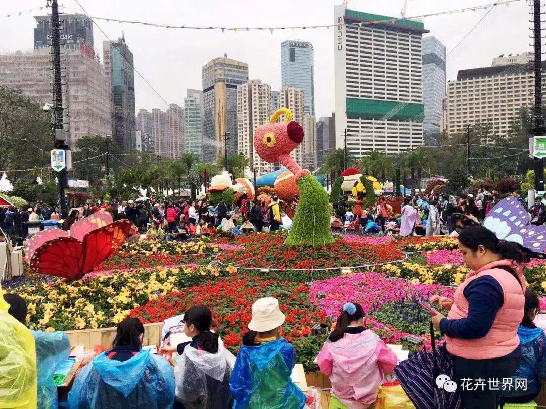 共赴盛会活动,香港国际花卉展