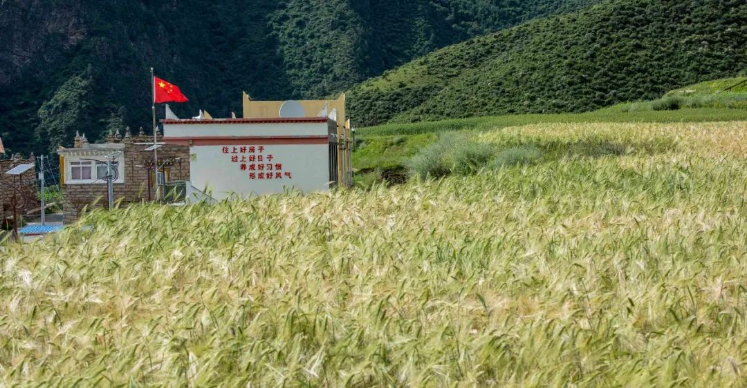 致敬脱贫攻坚一线的每一位战友,在脱贫攻坚一线的战友