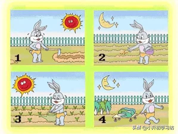 寒假专项训练一二三年级看图写话,开学整理书包看图写话