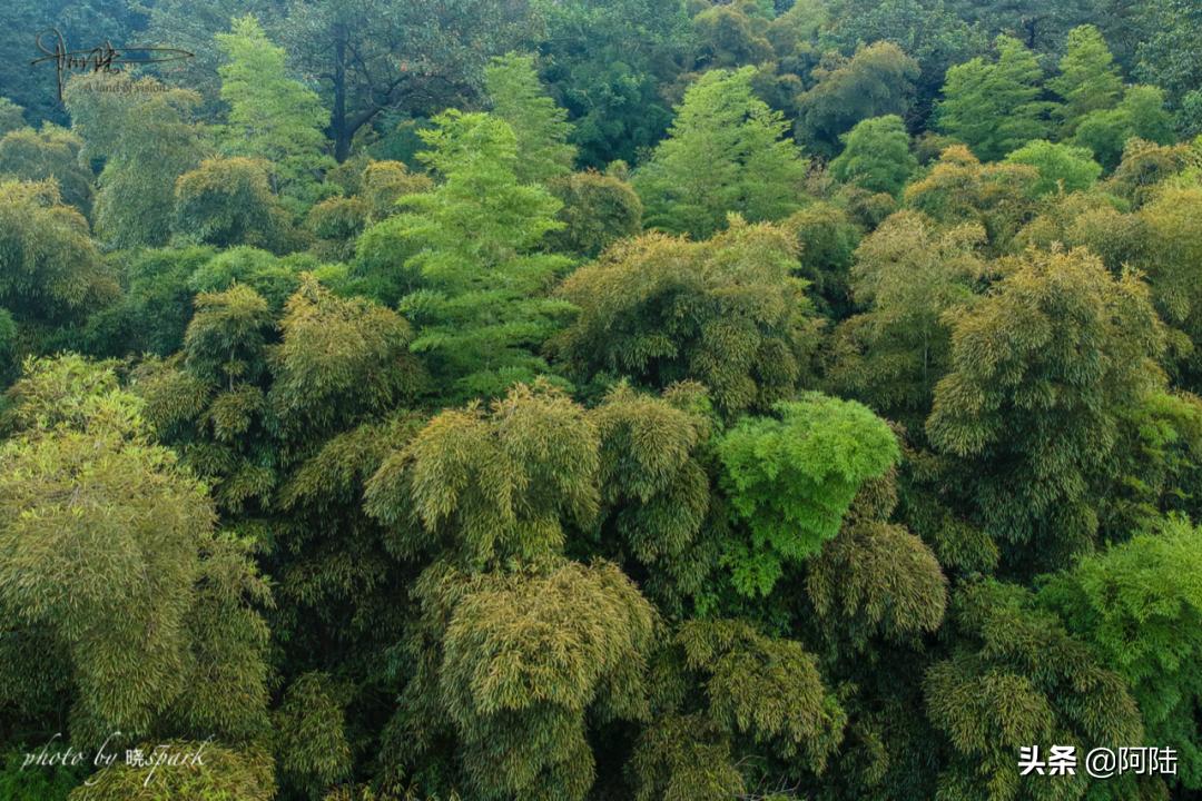 上虞有什么高档的宾馆,上虞宾馆几星级