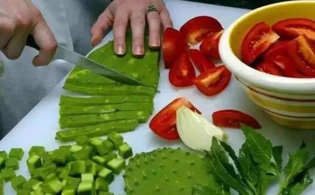 仙人掌长成火龙果球,仙人掌长出火龙果过程