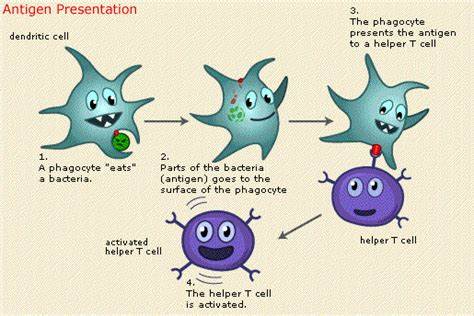 过敏性鼻炎孩子适合什么运动,运动能治疗过敏性鼻炎吗