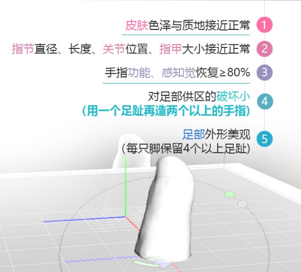 断手指再生过程,断手指再生