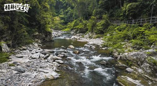 新年第一场旅行！这6处桂林人私藏的温泉秘境，帮你赶走严寒