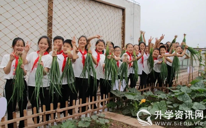 成都七中三岔校区教师招聘,成都东部新区武庙学校教师招聘