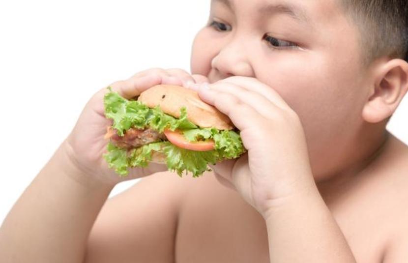 孩子吃得多但不吸收怎么办,孩子吃得不多还是长胖怎么办