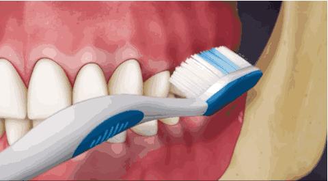 草莓籽藏在牙里发芽了,草莓籽在嘴里发芽