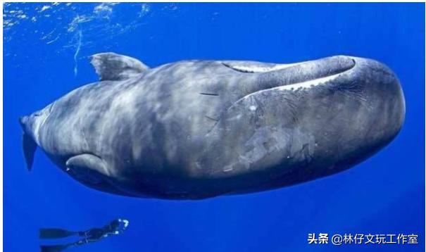 这三种文玩千万别碰,这几种文玩已经跌落神坛