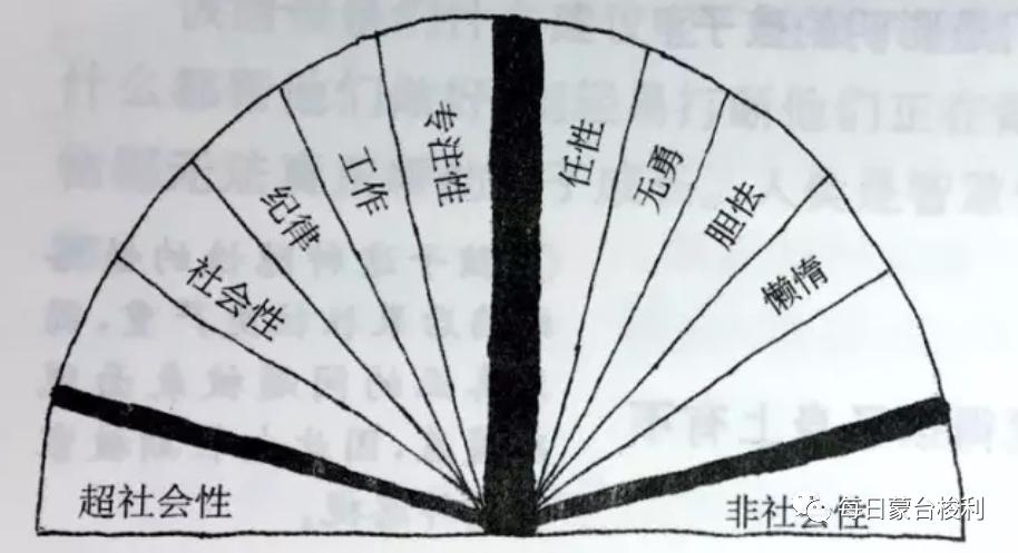 娃儿叛逆期怎么教育引导,蒙特梭利教育孩子情绪控制