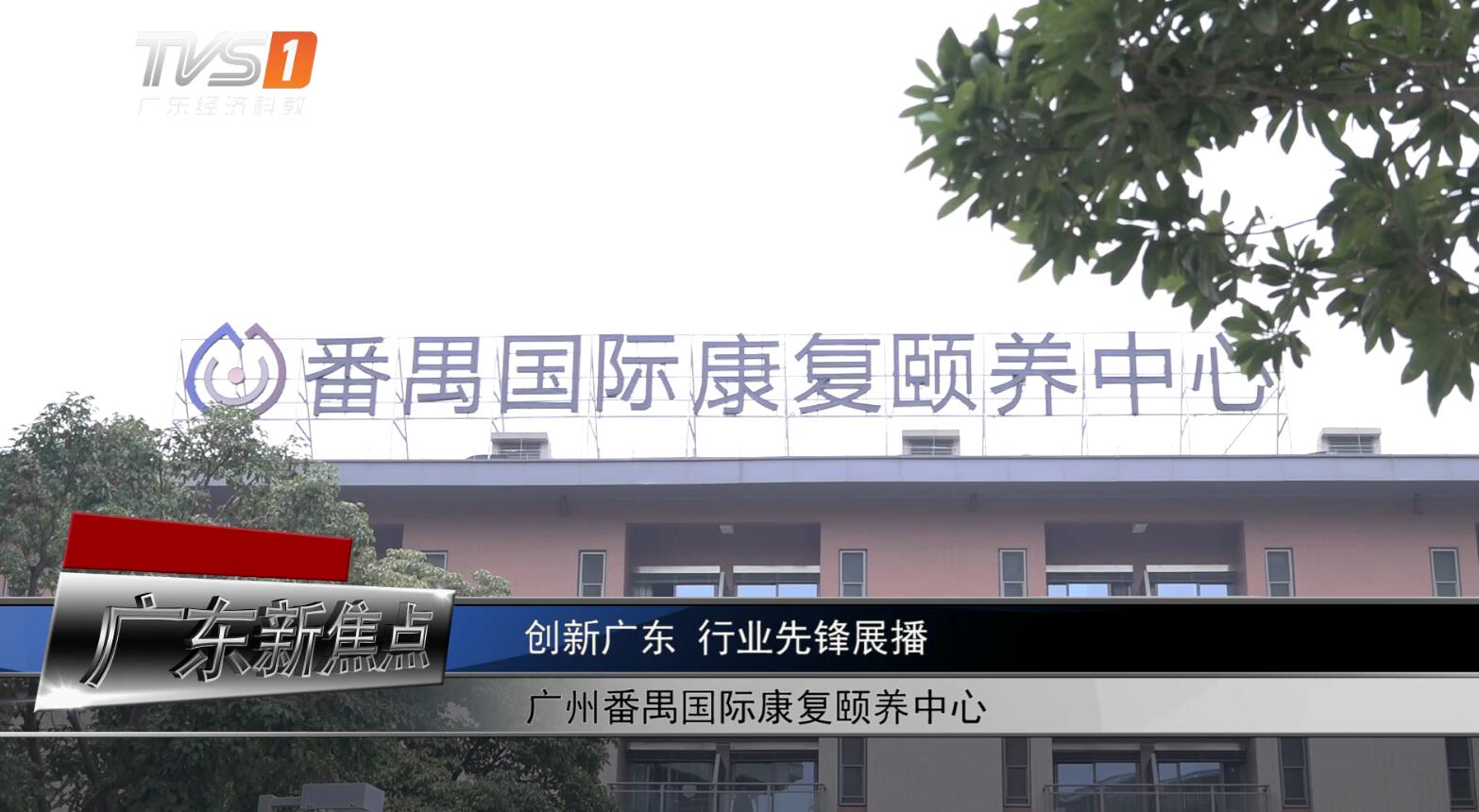 番禺市桥埃顿国际康复颐养中心,番禺国际康复颐养中心价格