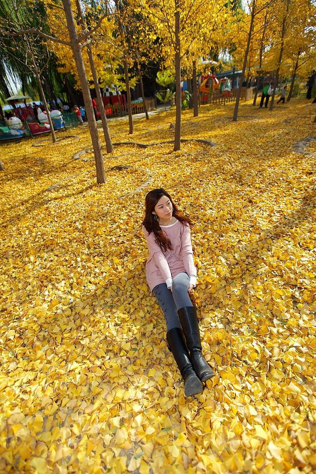 秋风起秋思满分作文,秋风起秋思的作文