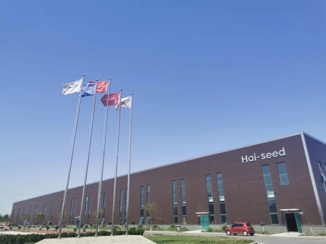 省媒绘声绘色，讲述复兴故事