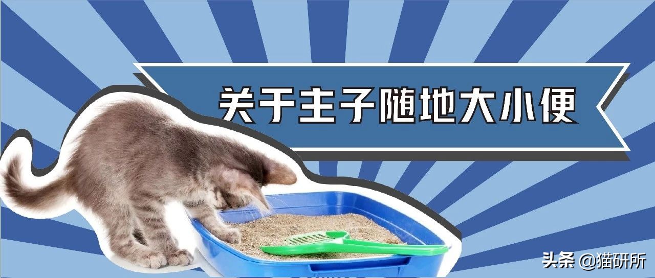 猫砂盆买什么样的最好,猫砂盆选什么的最合适