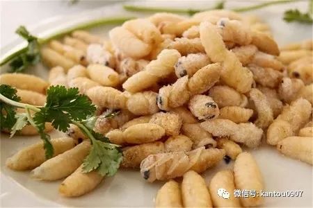 蜜蜂蜇过怎么处理,怎么避免蜜蜂马蜂蜇人