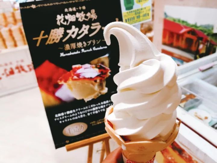 日本北海道温泉之旅,为游客准备了包机