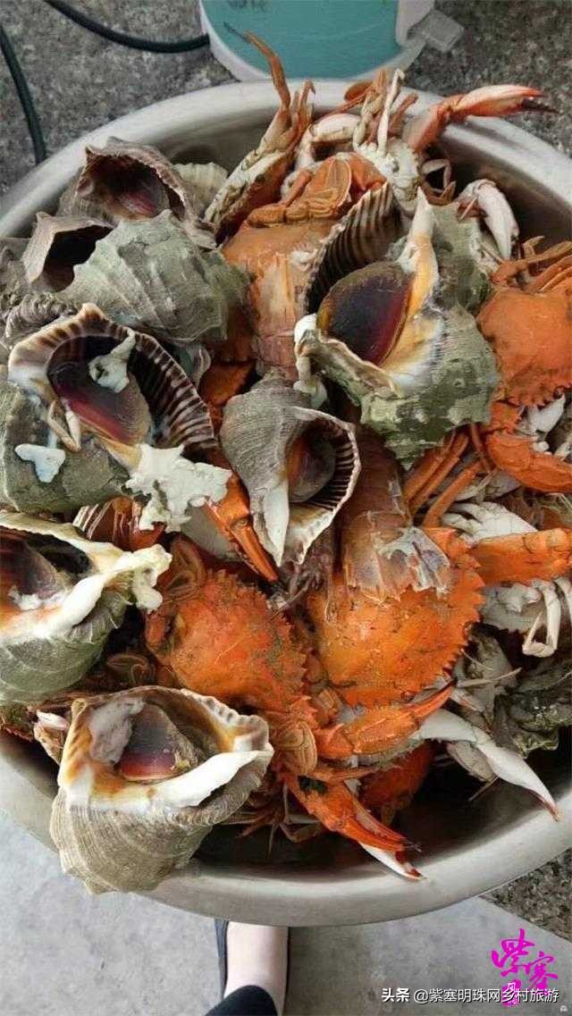 乐亭韩姐农家院价格,韩姐在乐亭农家最新视频