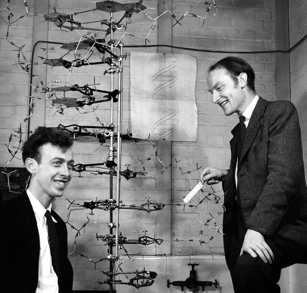 基因潘多拉魔盒,神秘的潘多拉魔盒