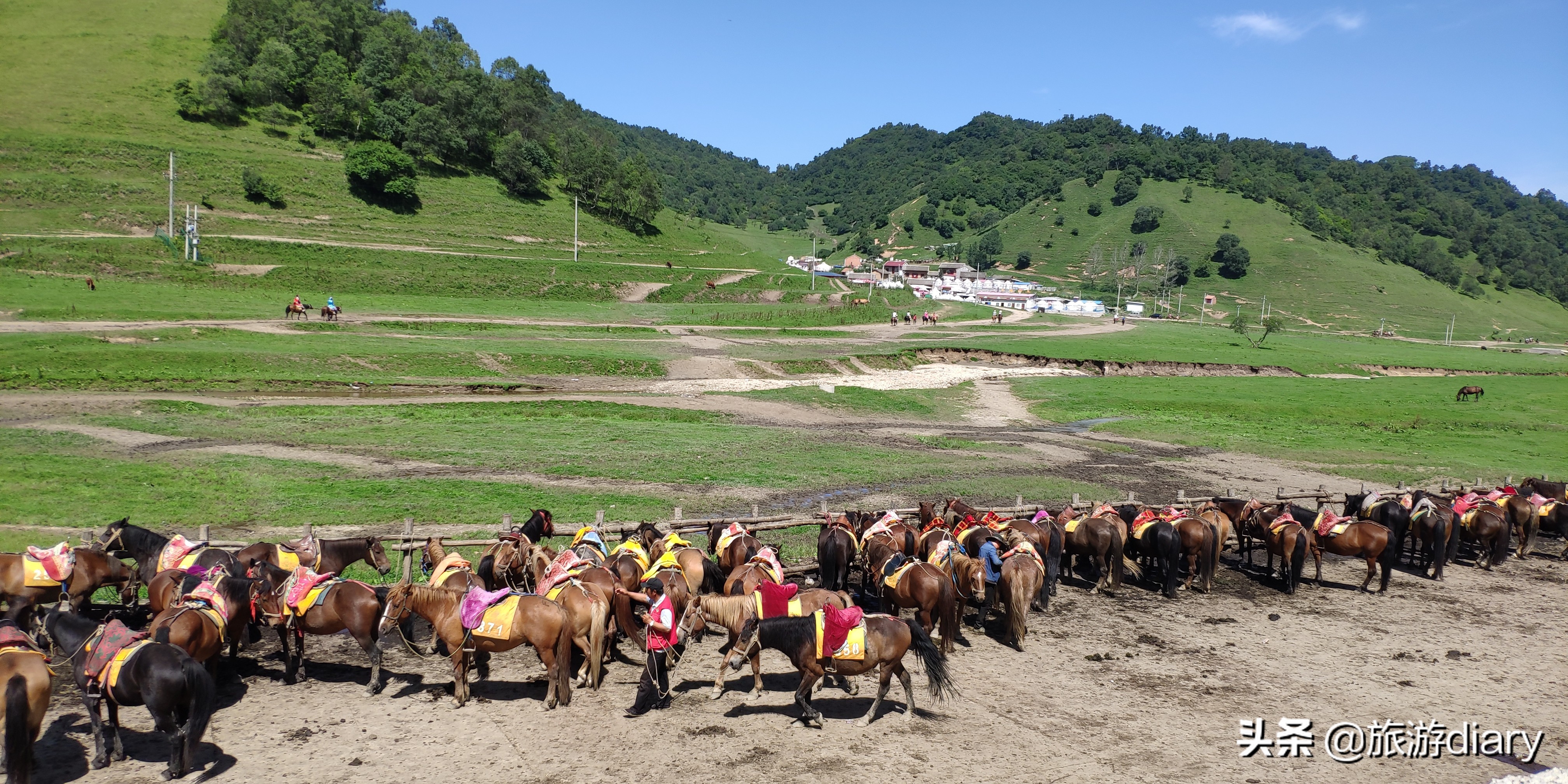 陕西宝鸡关山牧场,夏季避暑很凉快,但住宿一晚上千块到底值不值