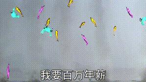 黑客的攻击基础步骤是什么,黑客常用的漏洞攻击手段有哪些