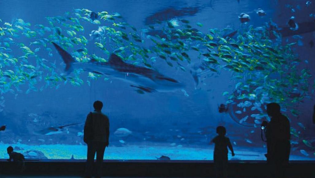 成都周边田园旅游攻略,成都冬季最理想的旅游线路