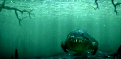 比沧龙都厉害的鳄鱼,淡水沧龙和鳄鱼竞争