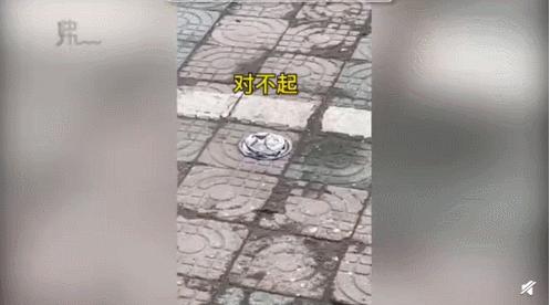 白柯基妈妈生宝宝,白狗妈妈生了一窝黑狗