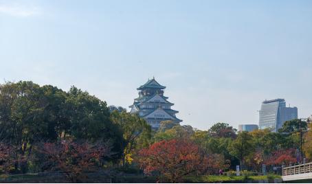 第一次去日本应该怎么办理出境,第一次去日本应该去哪里