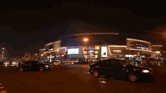 最好的蟋蟀排行榜,老上海宠物