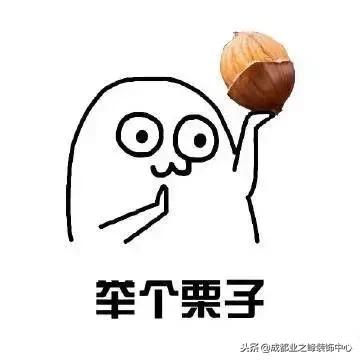 汇巢别墅样板间,汇巢别墅样板工程限量征集