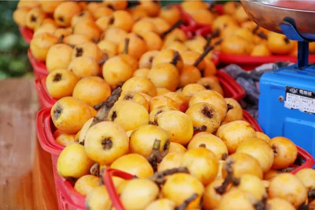 飞拉达攀岩溜索丛林溯溪地心探洞,清远飞拉达丛林探险