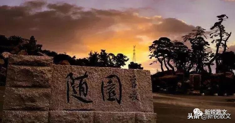 午后的随园，游人如织，个个谨肃认真，敛声屏气