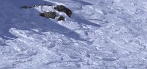 西安周边滑雪场一览表最新,西安周边哪个滑雪场比较好