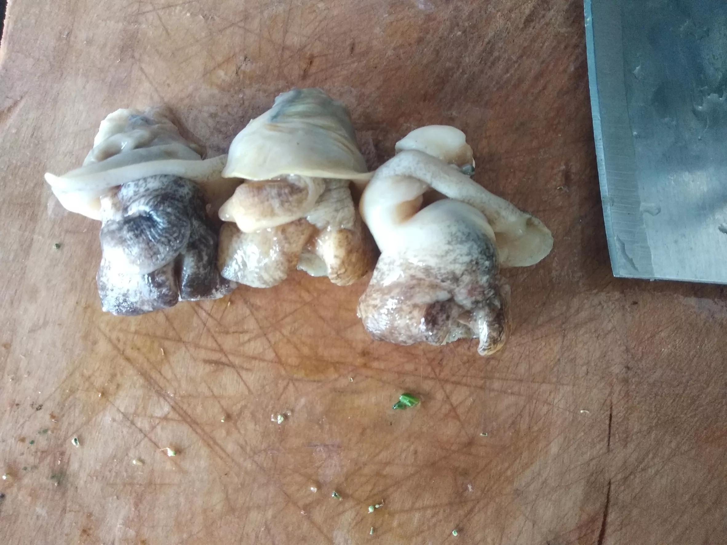 正宗山东水饺价格表,山东沿海鲅鱼水饺