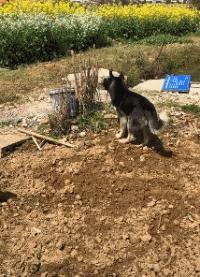 网上买的连衣裙到货了,店家连夜打电话跪求删除好评照片太尴尬了