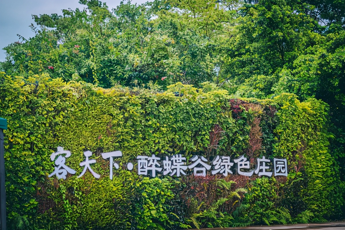 世界最顶级的温泉酒店,最高端的温泉酒店带独立温泉池