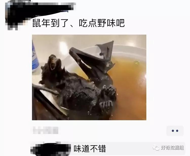 蝙蝠的病毒有多可怕,蝙蝠携带大量病毒为何安然无恙