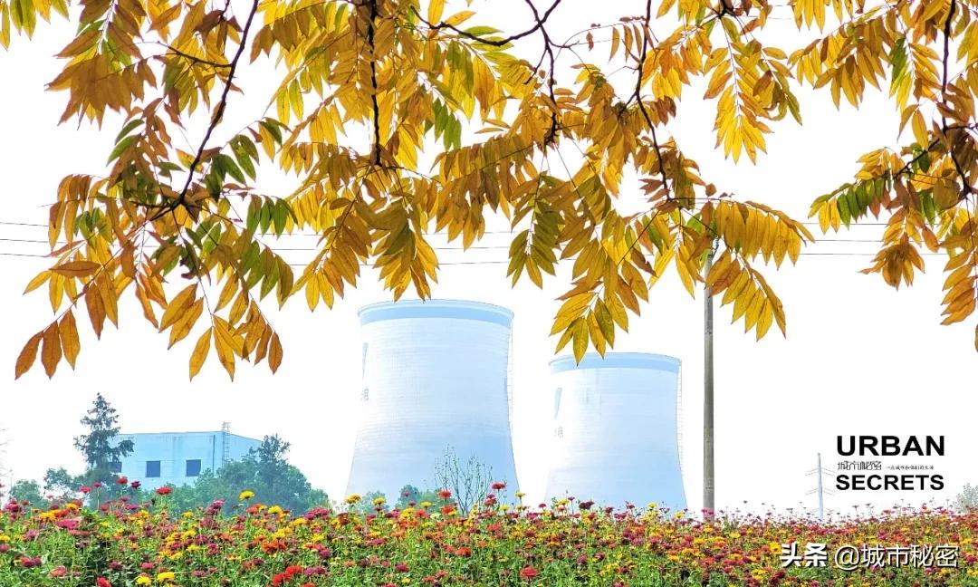 杭州东新·长浜路纪事，住在有魔幻感的理想生活中