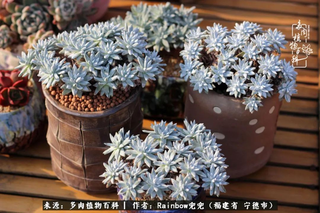 岁月无波澜余生不悲欢是啥意思,愿你岁月无波澜敬我余生无悲欢