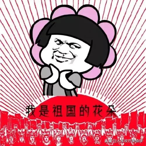 娇小婀娜多姿的贵妃芒,抗病又抗风,货架期长达半年!